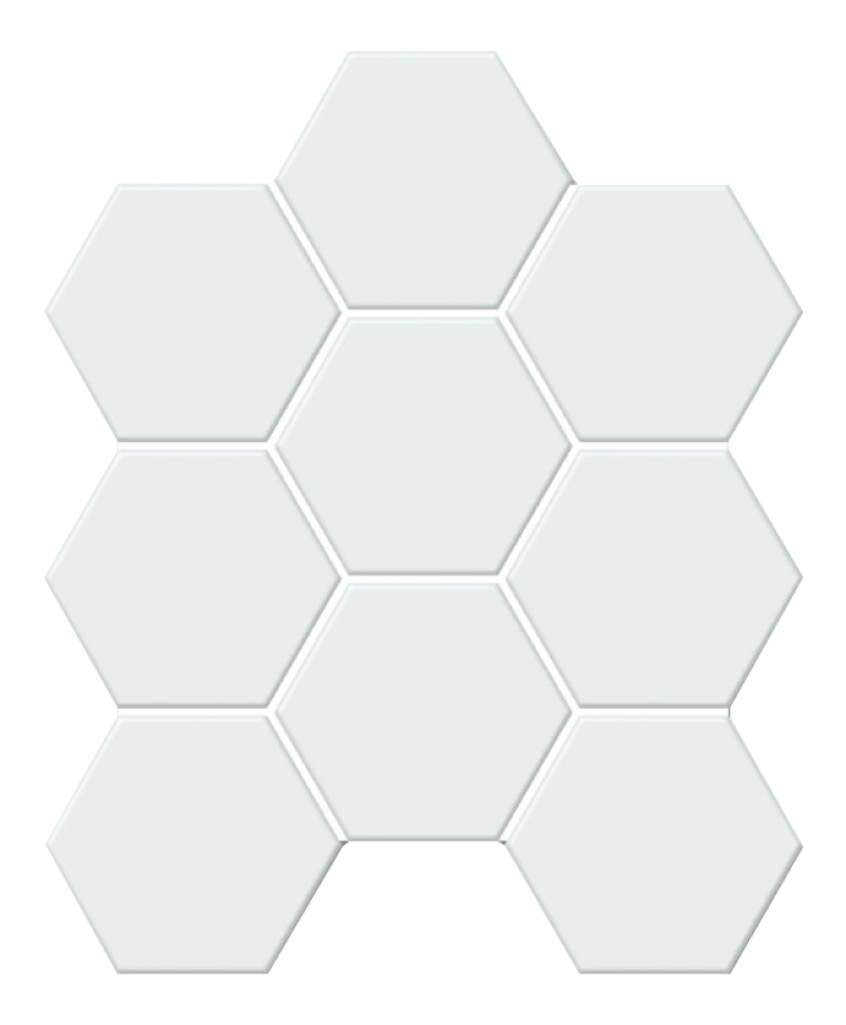 Porcelain Mosaic Hexagon White Matte (V-FQ31000)