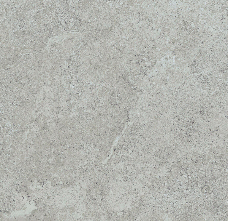 Reefstone Grey