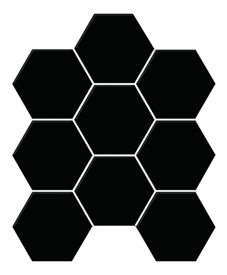Porcelain Mosaic Hexagon Black (V-FQ84000)