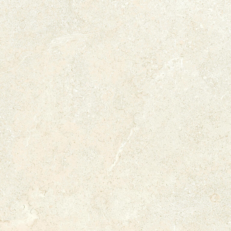 Reefstone Beige
