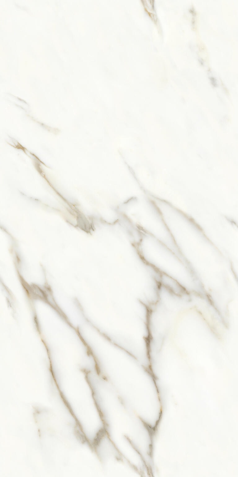 Statuario Gold White