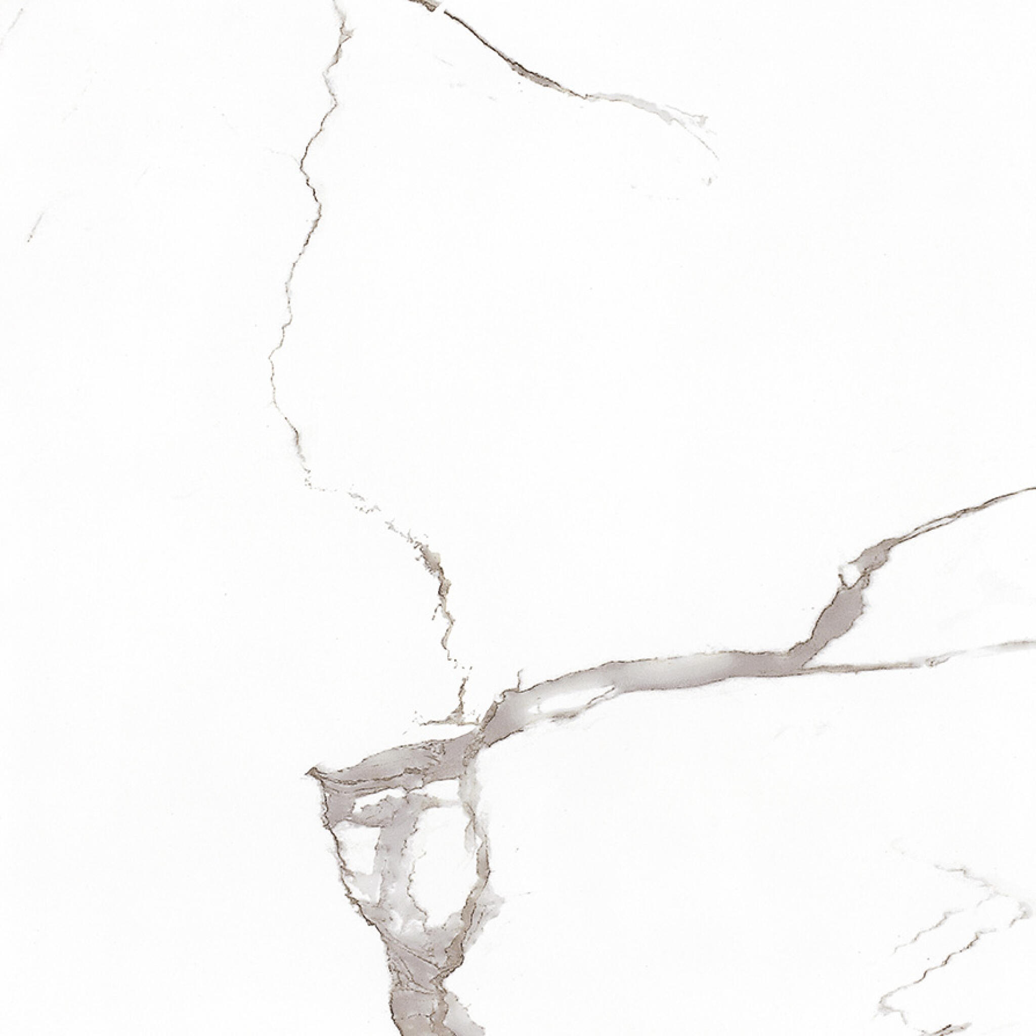 Bianco Calacatta White