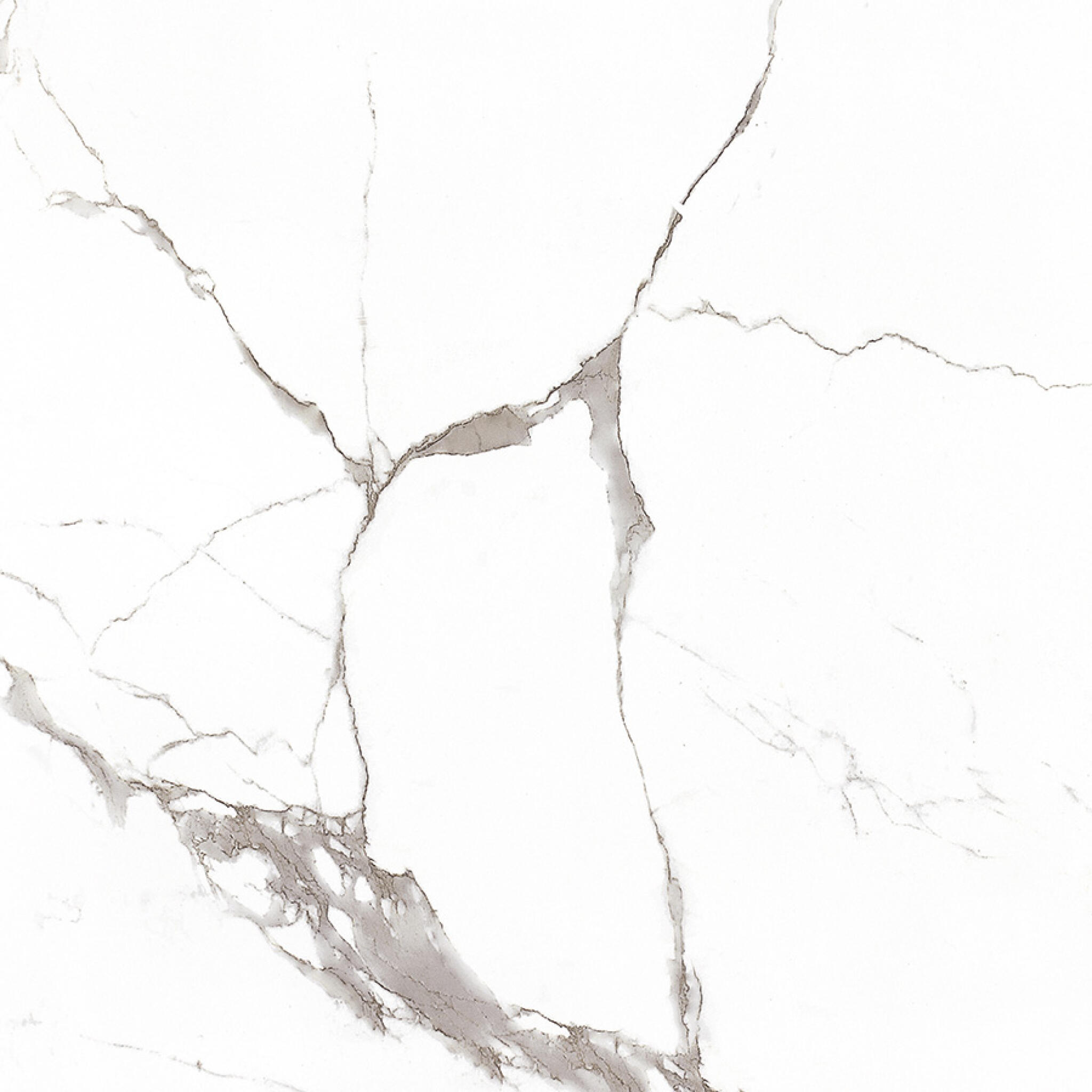 Bianco Calacatta White