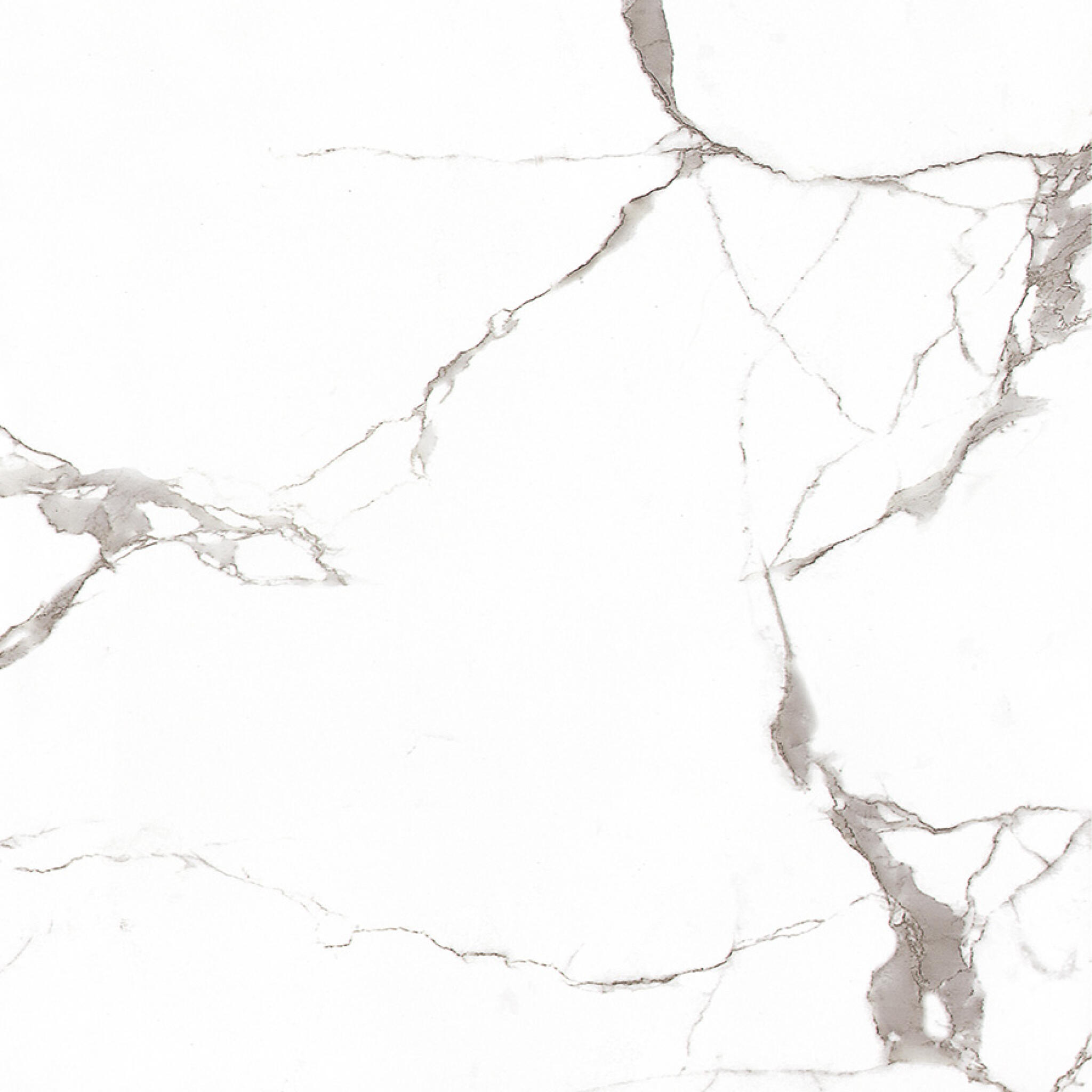 Bianco Calacatta White